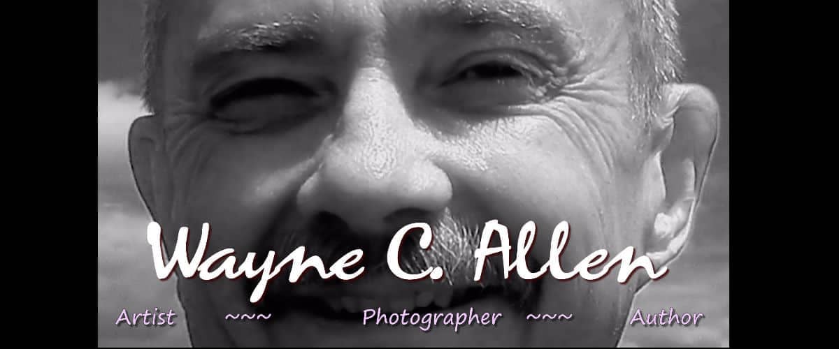 Wayne C. Allen - artist and author